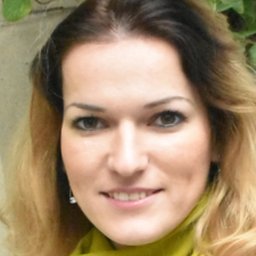 Fani Handoko